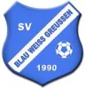 SV BW Greussen 