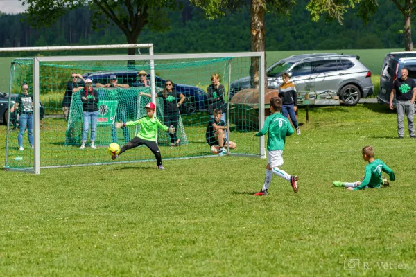 25.05.2024 FSV GW Blankenhain vs. SG Haarhausen